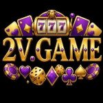 2V Game